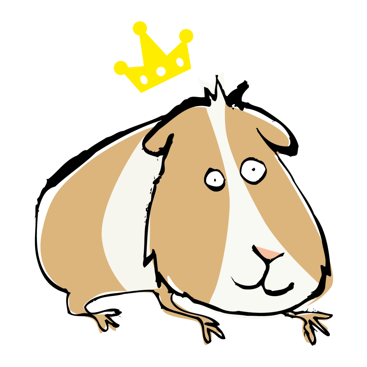 Products The Petshop Worthing products-the-petshop-worthing