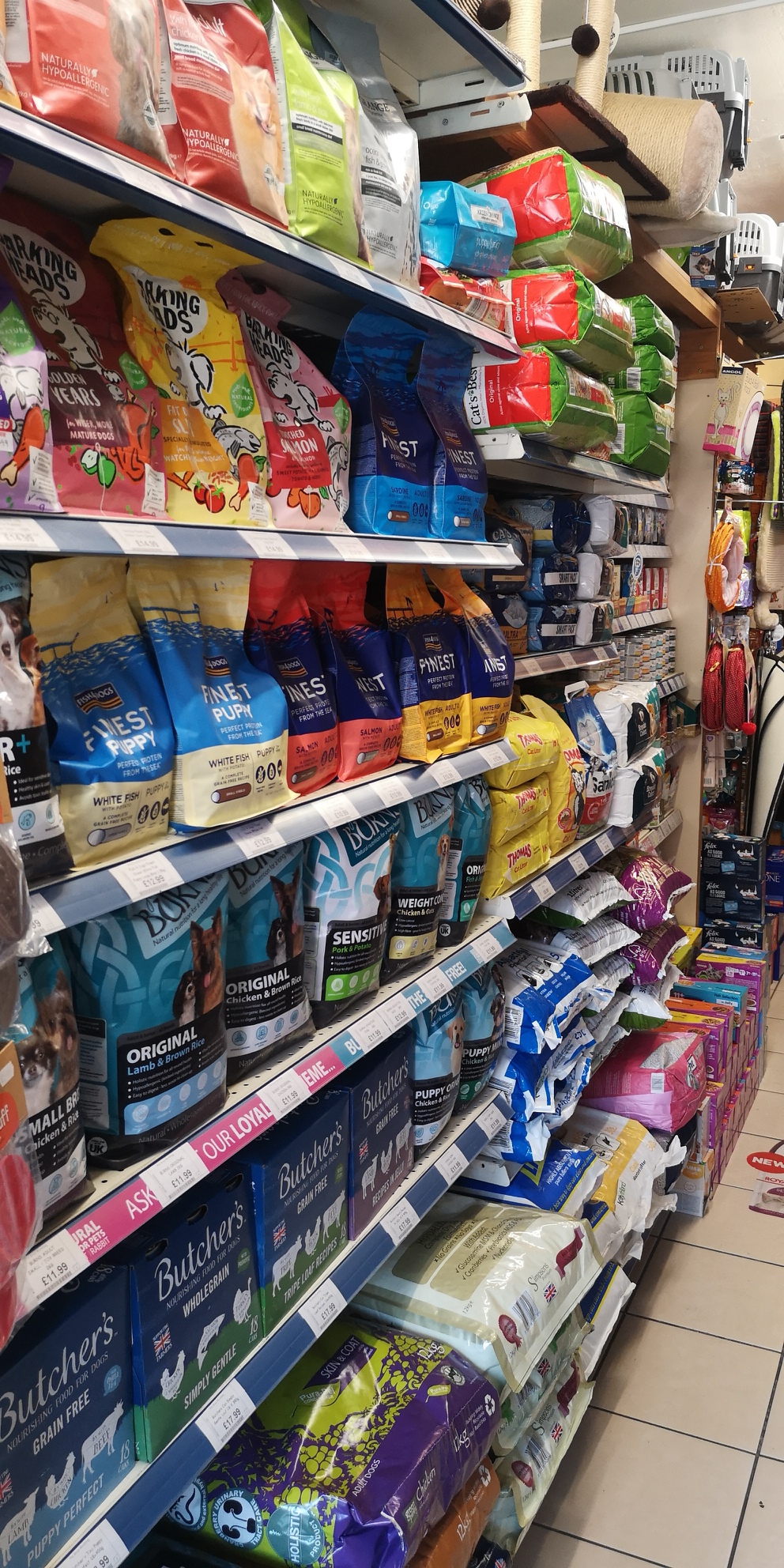 Local pet outlet food stores